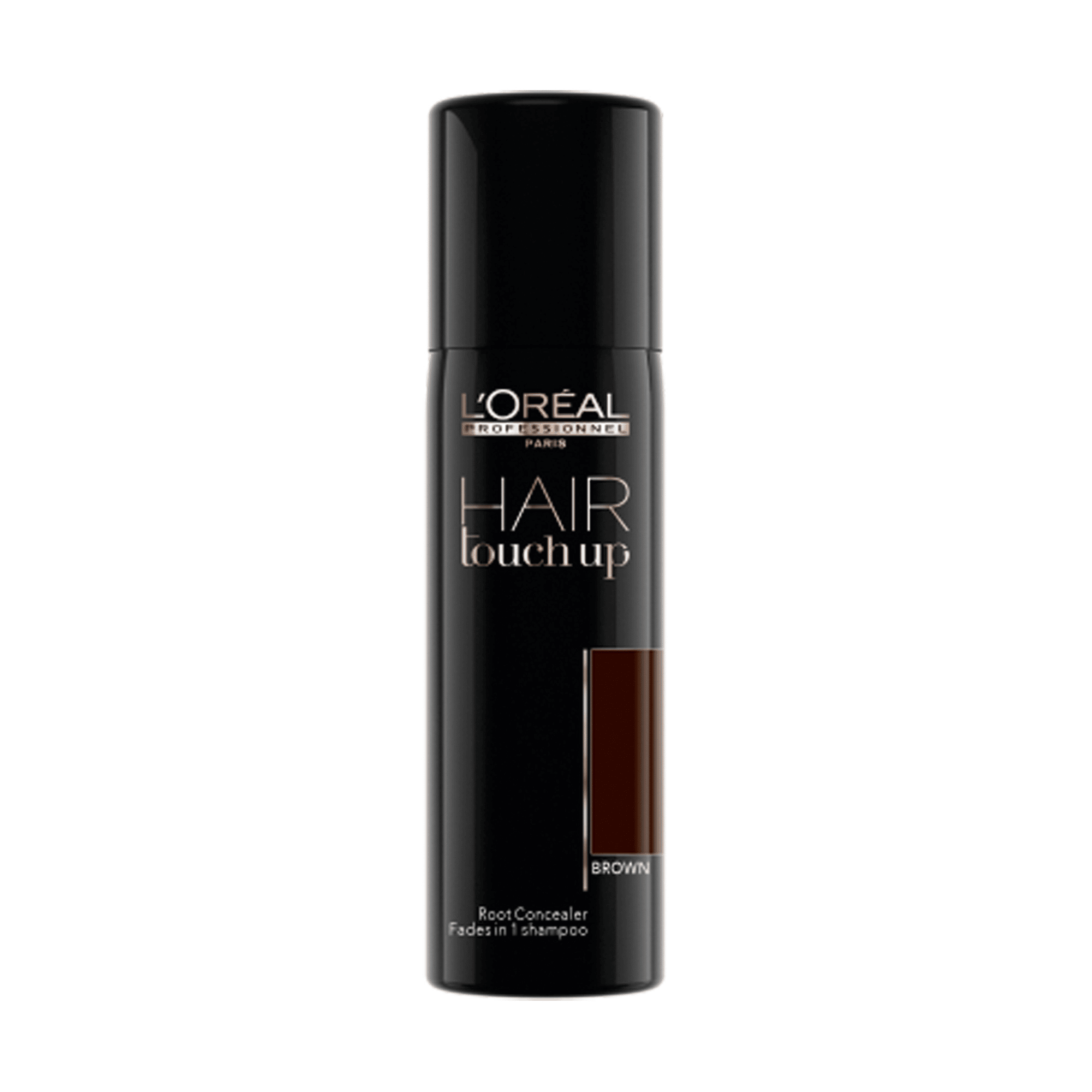 L'Oréal Professionnel Hair Touch Up Brown